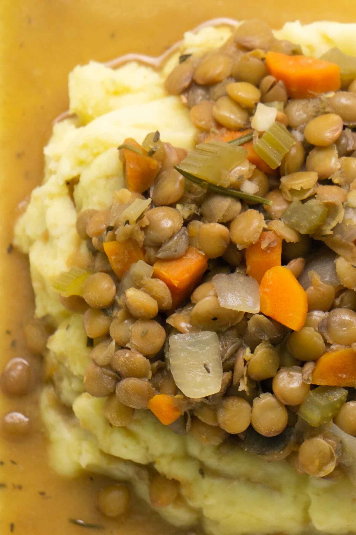 close up of stew and mashed potatoes
