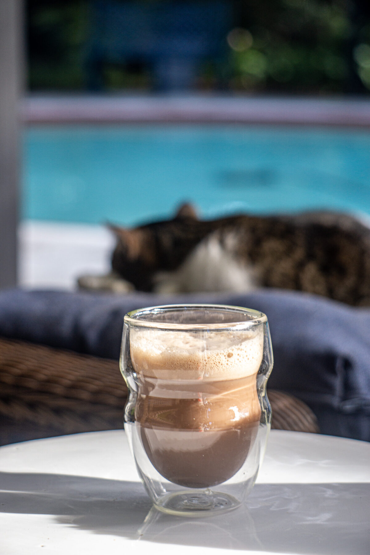 cacao latte in front of sleeping cat