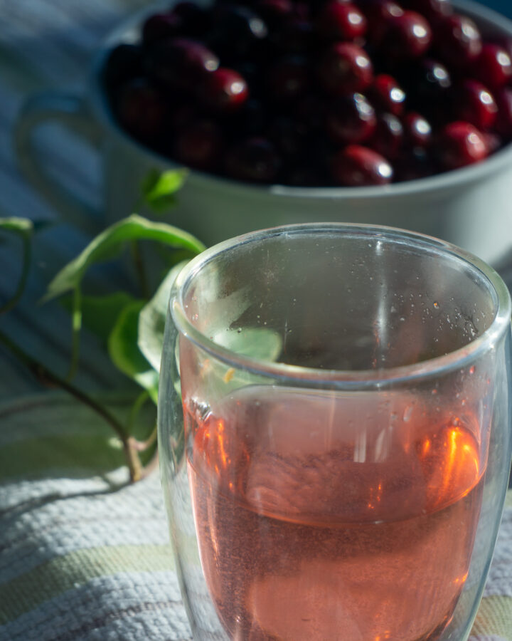 cranberry rosemary tea and bowl of cranberries
