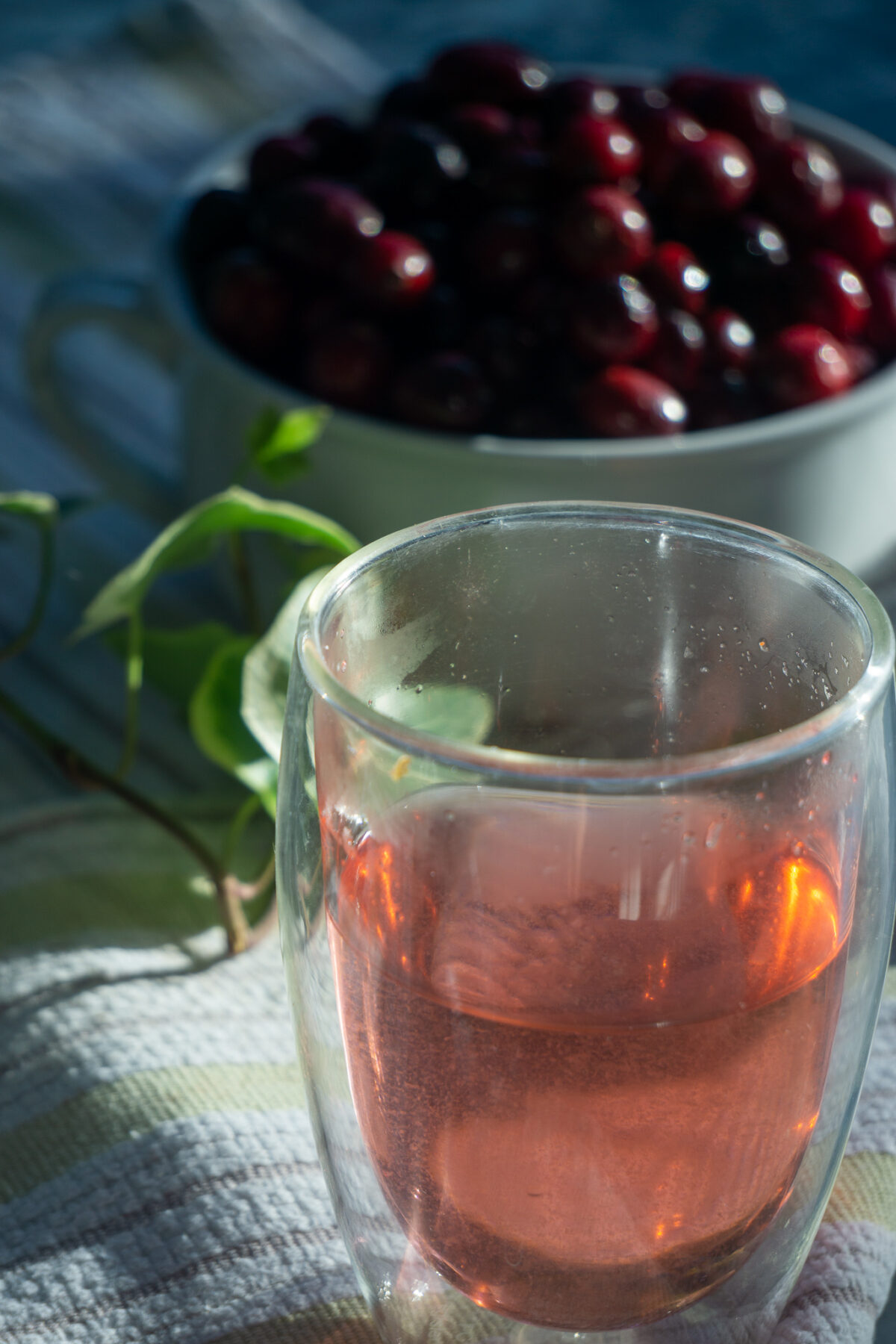 cranberry rosemary tea and bowl of cranberries