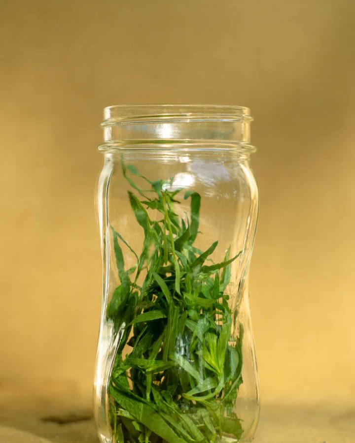 mason jar filled with tarragon