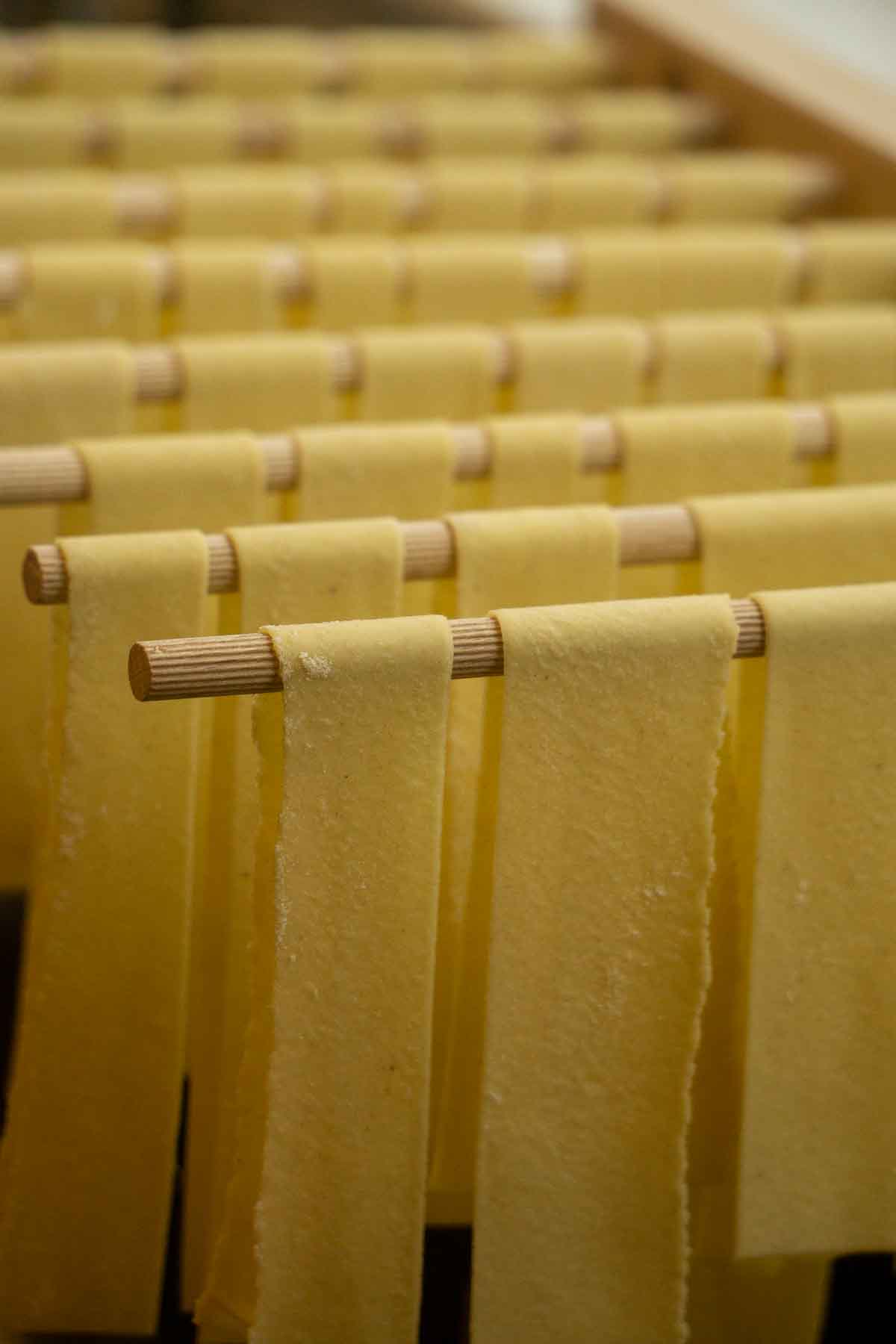 fresh pasta on drying rack