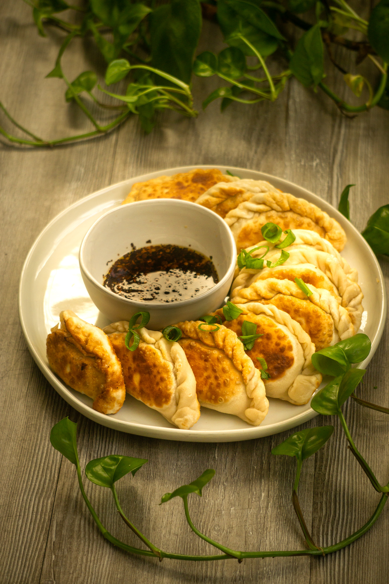 dumplings arranged on a plate