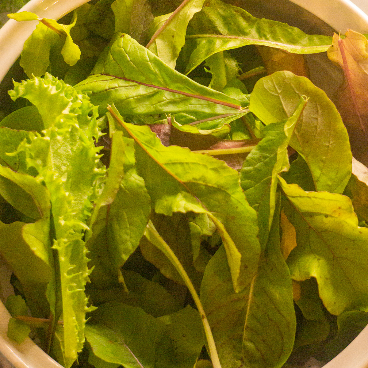 mesclun greens up close in bowl